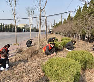 半岛（中国）一站式服务平台青年文明号义务打扫周边环境